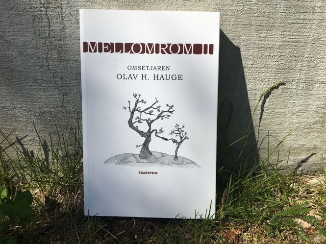 Hovedbilde Mellomrom II: Omsetjaren Olav H. Hauge