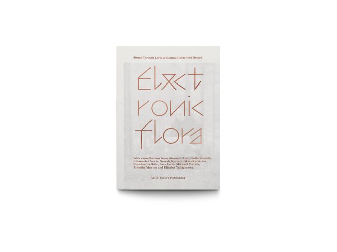 Hovedbilde Lerin/Hystad - Electronic flora