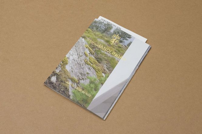 Hovedbilde Arild Våge Berge - Forhandlingar