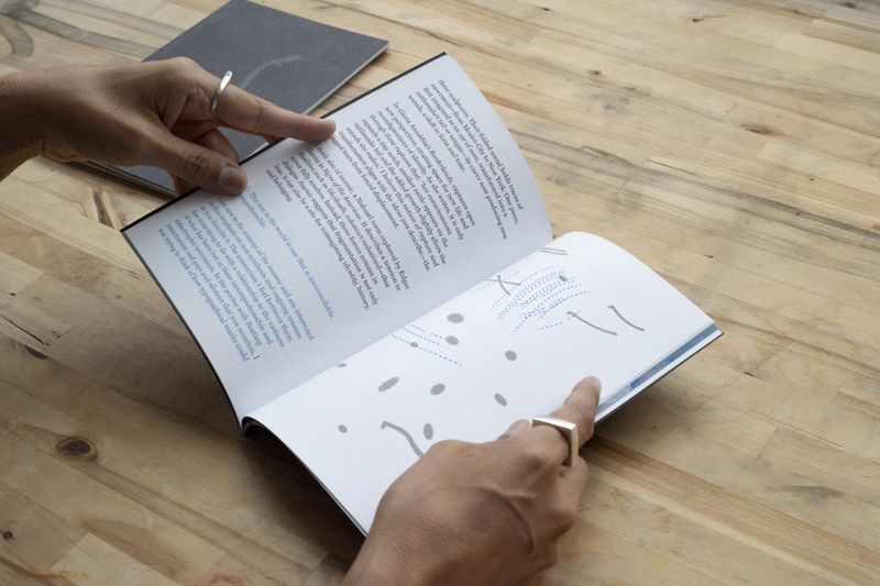 Hverdag Books, Mother Tongues / av Alva Mooses og Aracelis Girmay