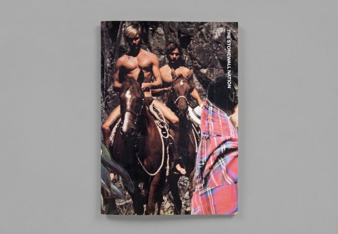 Hovedbilde Sille Storihle (red.) - The Stonewall Nation