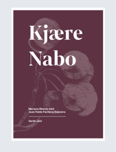 Hovedbilde Hordaland kunstsenter, Kj&aelig;re nabo