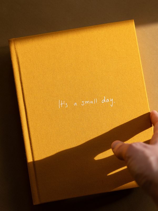 Lili Zaneta - It's a small day